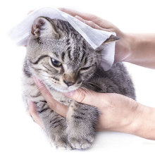 Toallitas húmedas limpias antibacterianas multiusos para mascotas de NH Hot Selling